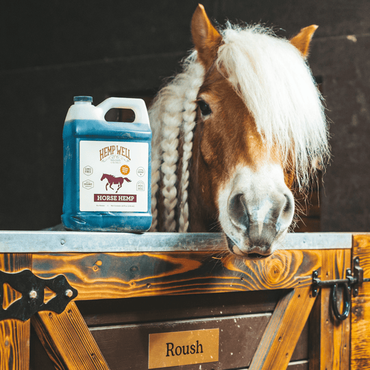 Horse Hemp Oil - Hemp Well equine hemp hemp for horses