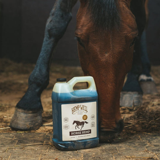 Horse Hemp Oil - Hemp Well equine hemp hemp for horses