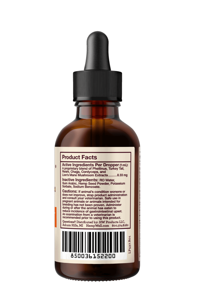 Immune Support Oil - Hemp Well cats dogs hemp