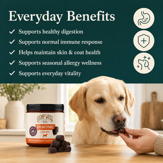 Immune &amp; Digestive Gut Health Dog Soft Chews