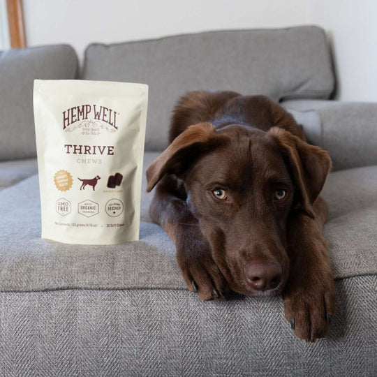 Organic Thrive Dog Soft Chews for Skin Health - Hemp Well dog dog treats hemp