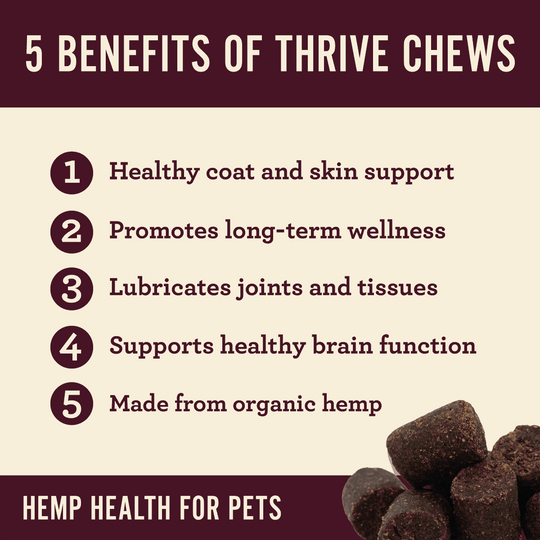 Organic Thrive Dog Soft Chews for Skin Health - Hemp Well dog dog treats hemp tag4 organic over 1,000,000 pets love Hemp Well