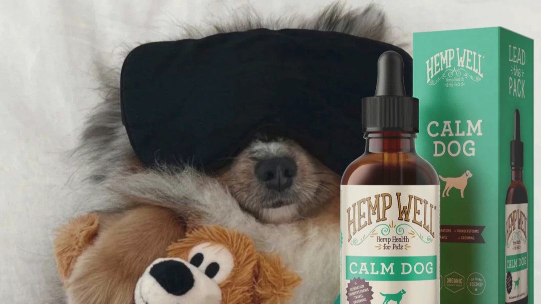 Calm Dog Oil - Organic, USA Grown
