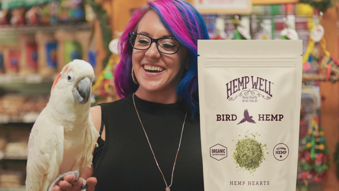 Bird Hemp Hearts - Organic, USA Grown
