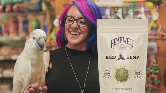 Bird Hemp Hearts - Organic, USA Grown