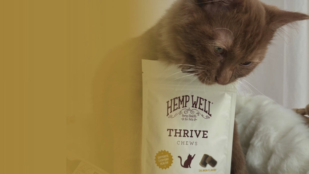 Thrive Cat Soft Chews - Organic, USA Grown