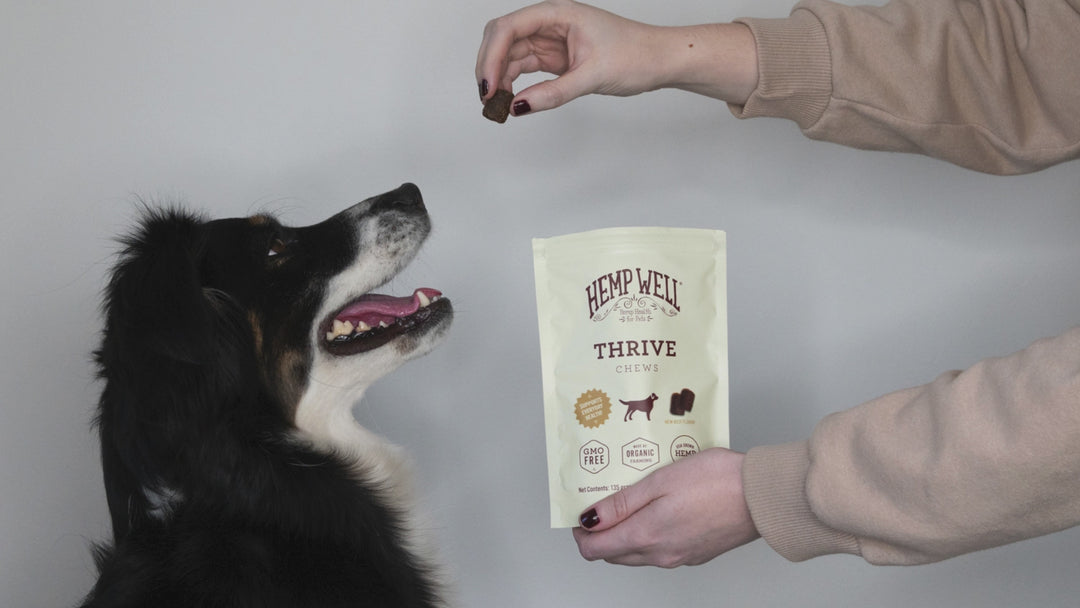 Organic Thrive Dog Soft Chews for Skin Health