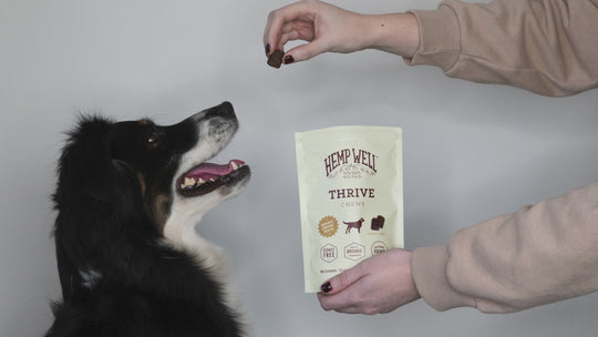 Organic Thrive Dog Soft Chews for Skin Health