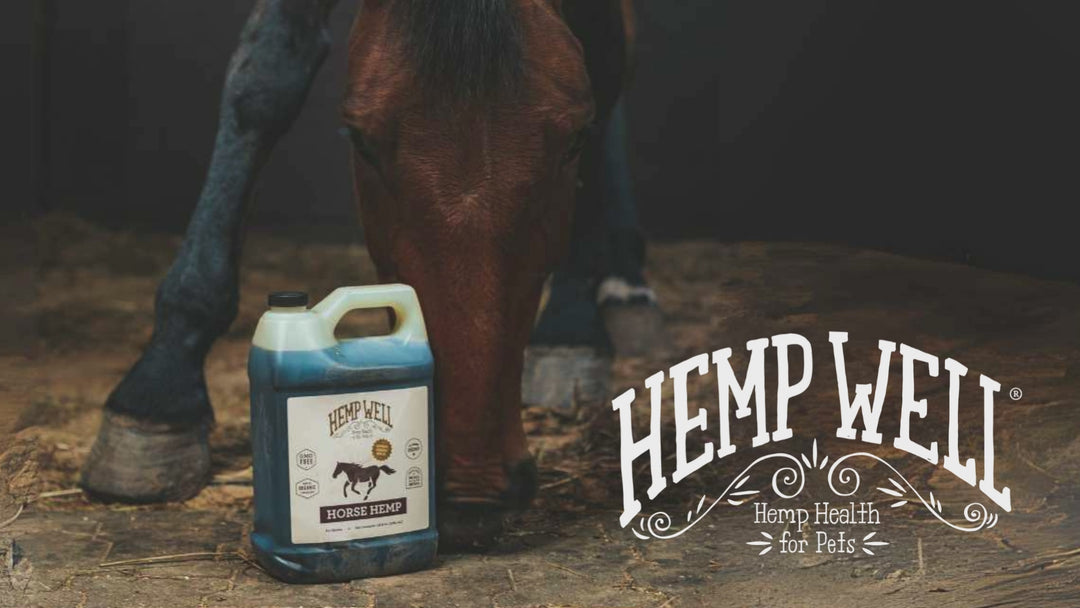 Horse Hemp Oil - Organic, USA Grown