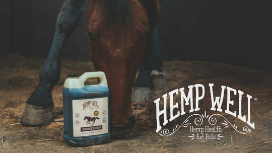 Horse Hemp Oil - Organic, USA Grown