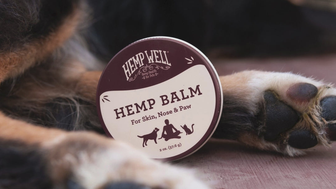 Hemp Balm - Organic, USA Grown Hemp