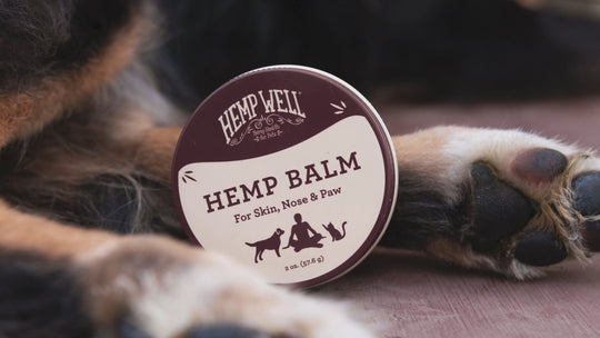 Hemp Balm - Organic, USA Grown Hemp