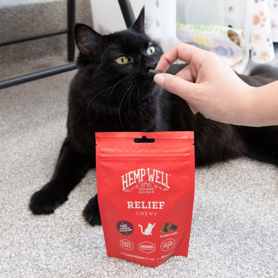 Relief (CBD) Cat Soft Chews - Hemp Well anxiety best CBD cat products calming