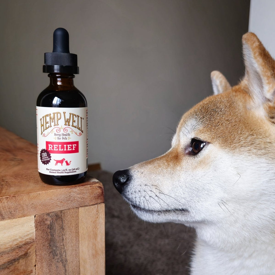 Relief (CBD) Oil - Hemp Well CBD for dogs