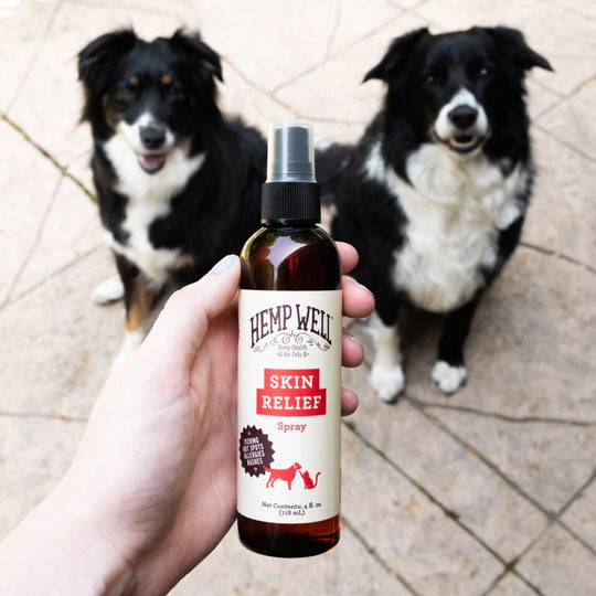 Skin & Itch Relief Spray - Hemp Well cat dog skin