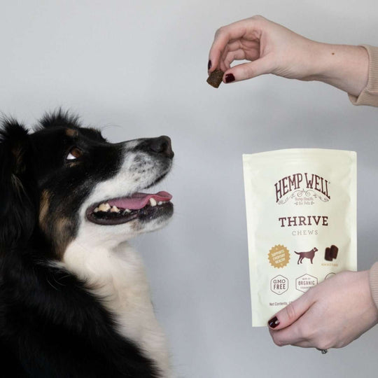 Organic Thrive Dog Soft Chews for Skin Health - Hemp Well dog dog treats hemp