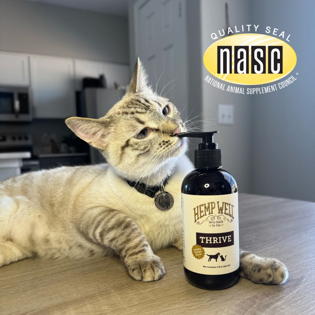 Thrive Oil for Dogs & Cats - Hemp Well cat Dog Hemp Well Thrive