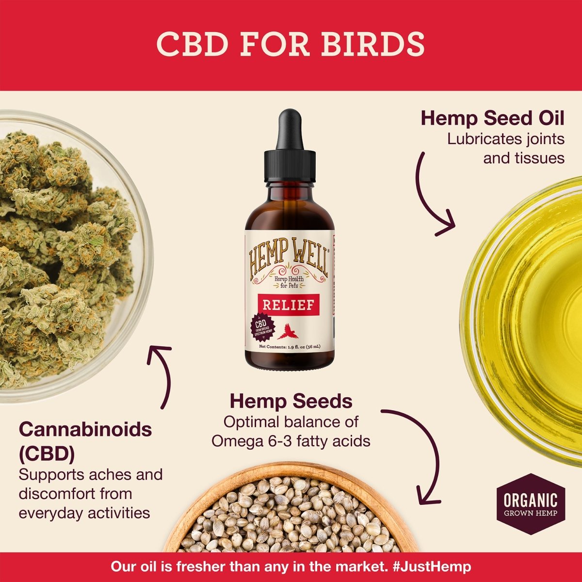 Extra Strength CBD for Birds - Relieve Aches & Discomfort – Hemp Well