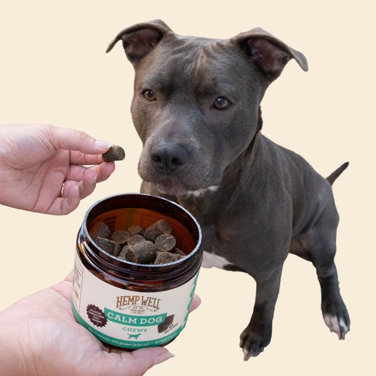 Calm Dog Soft Chews - Hemp Well anxiety calm Calm Dog