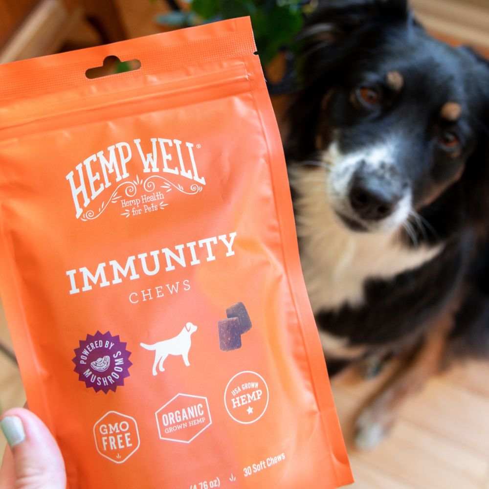 Immune Support Dog Soft Chews - Hemp Well