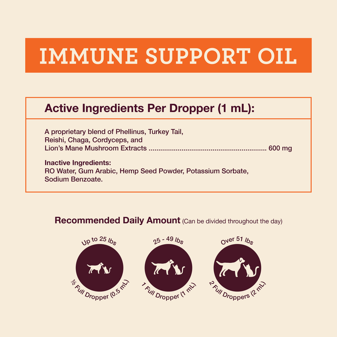 Immune Support Oil - Hemp Well cats dogs hemp
