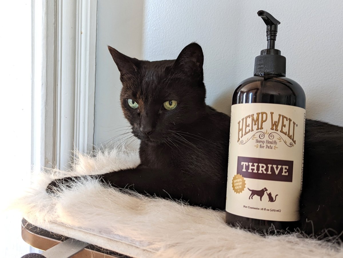 Thrive Oil for Dogs & Cats - Hemp Well